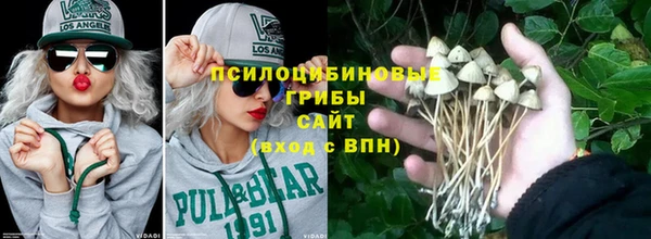 стаф Алексеевка